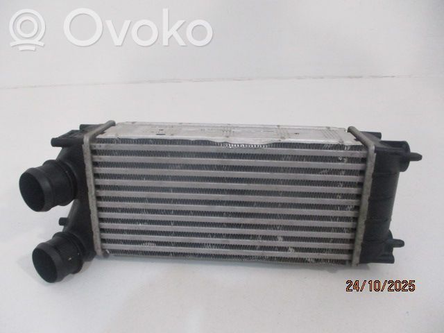 Citroen C4 I Picasso Interkūlerio radiatorius 