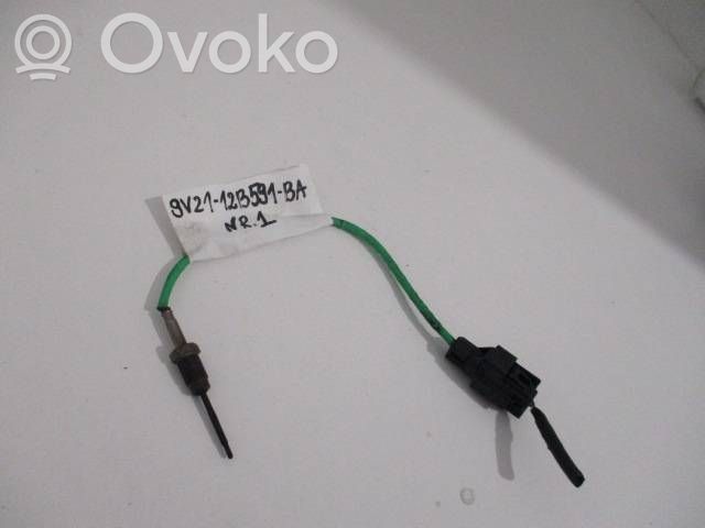 Ford Kuga II Exhaust gas temperature sensor 