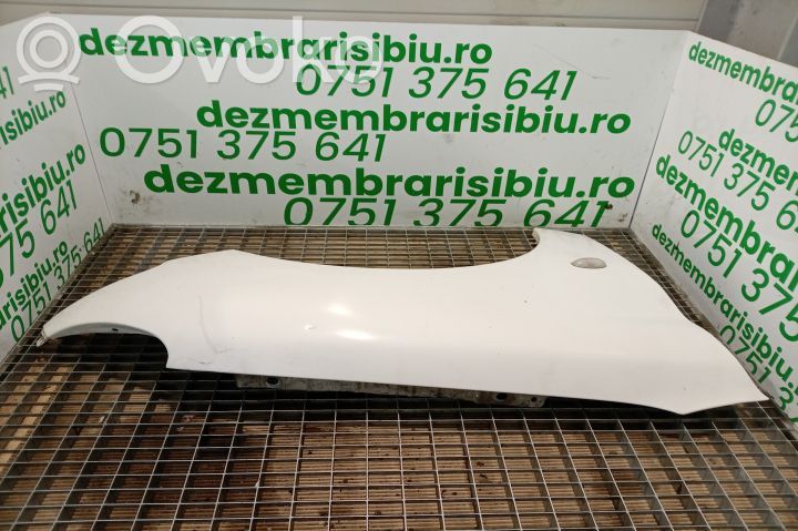 Peugeot 206 Guardabarro 