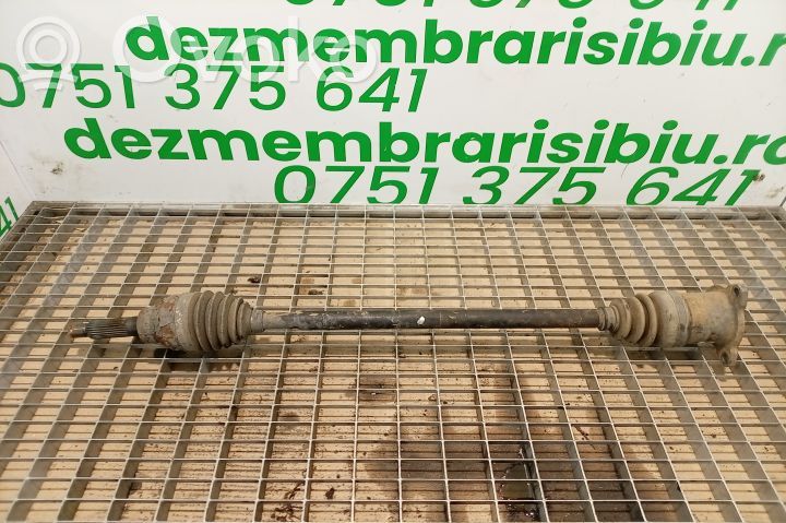 Aizmugurējā pusass