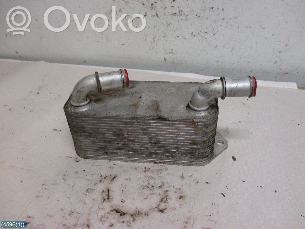Variklio tepalo radiatorius   12786260
