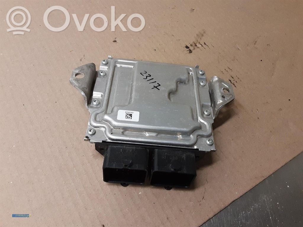 Injection control unit/module   3392071M00
