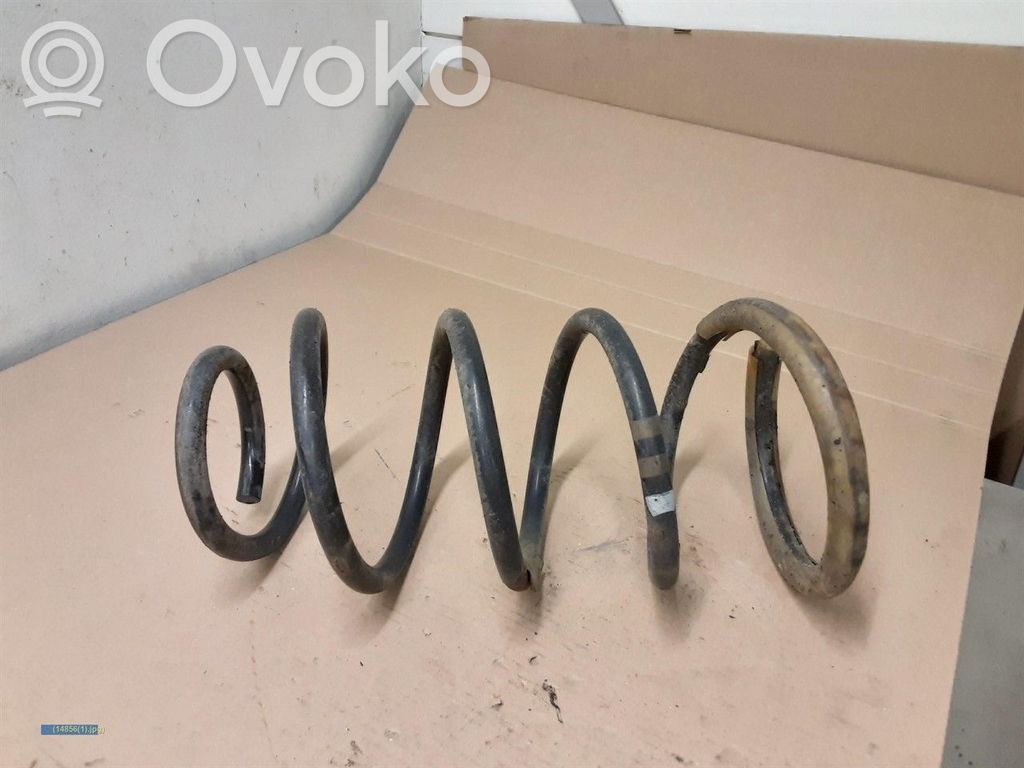 Front coil spring