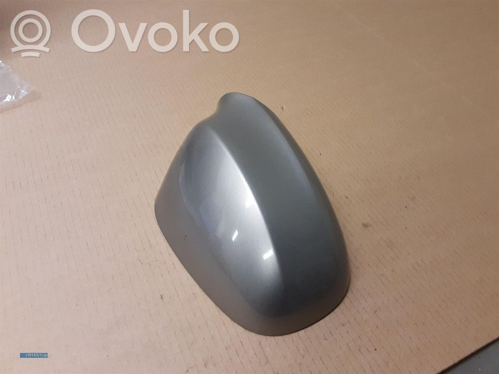 Coque de rétroviseur   51167205292