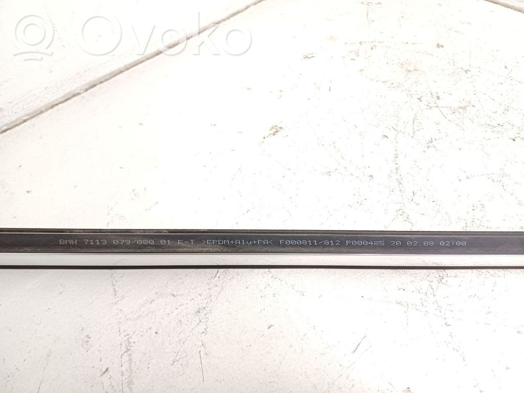 BMW 3 E92 E93 Priekšpusē durvju dekoratīvā apdare (moldings) 