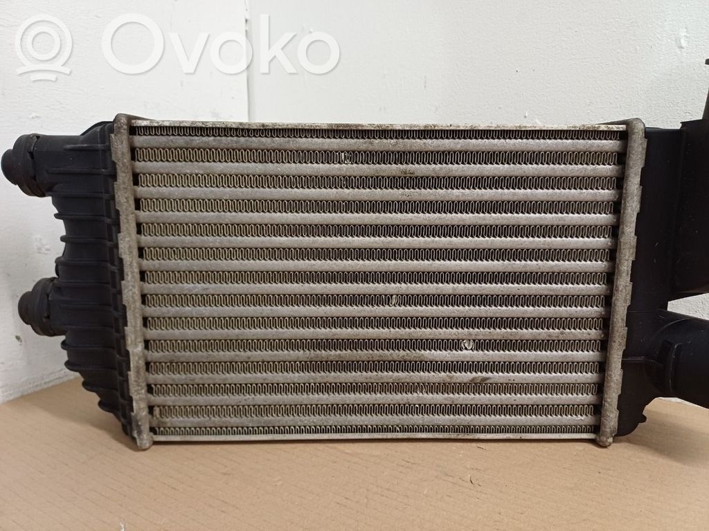 Interkūlerio radiatorius