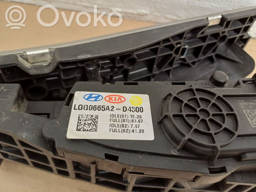 Kaasupoljin   32700D4300,LGG0665A2D4300,351902E000