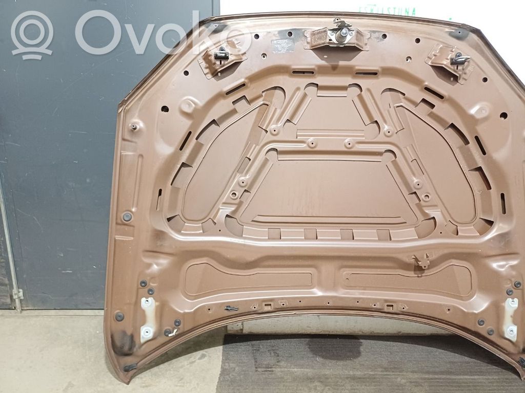 Engine bonnet/hood   41002993151