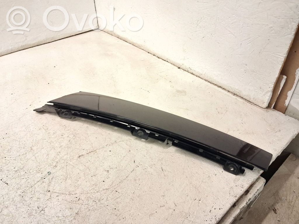 Listwa drzwi przednich   2179727,AM51U20898,AM51U20898