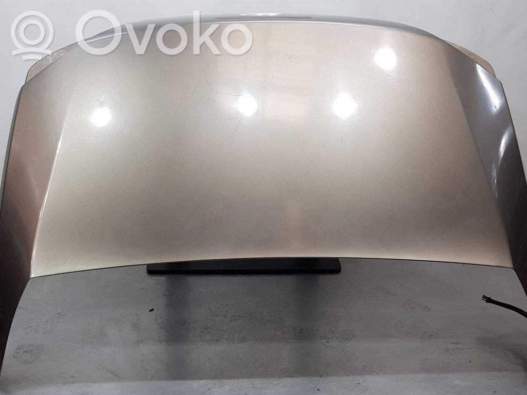 Ford Focus Rear door 