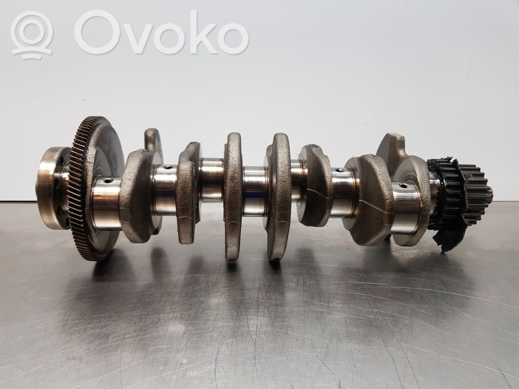 Kloķvārpsta   059105019BD,04L105263C,04LDEV160