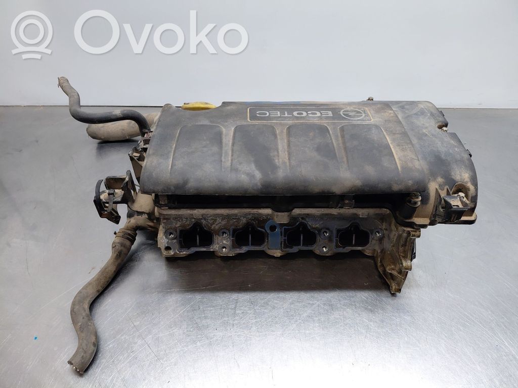 Engine head   607160