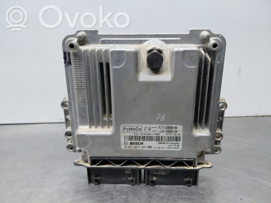 Ford Focus Engine control unit/module 