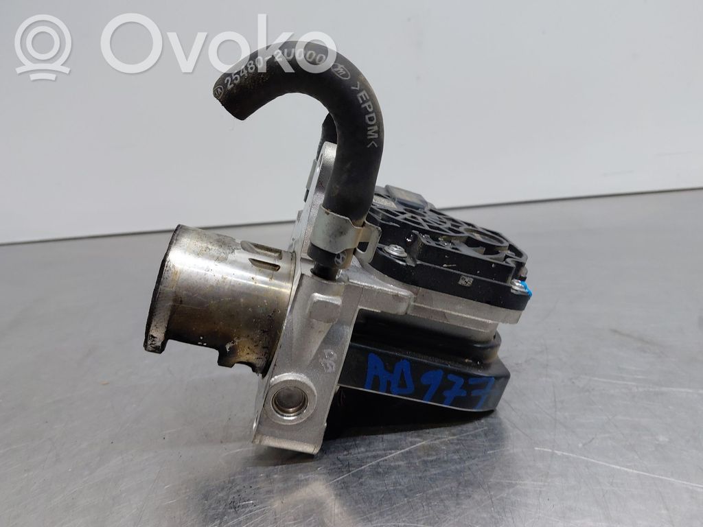 Hyundai Tucson TL EGR valve 
