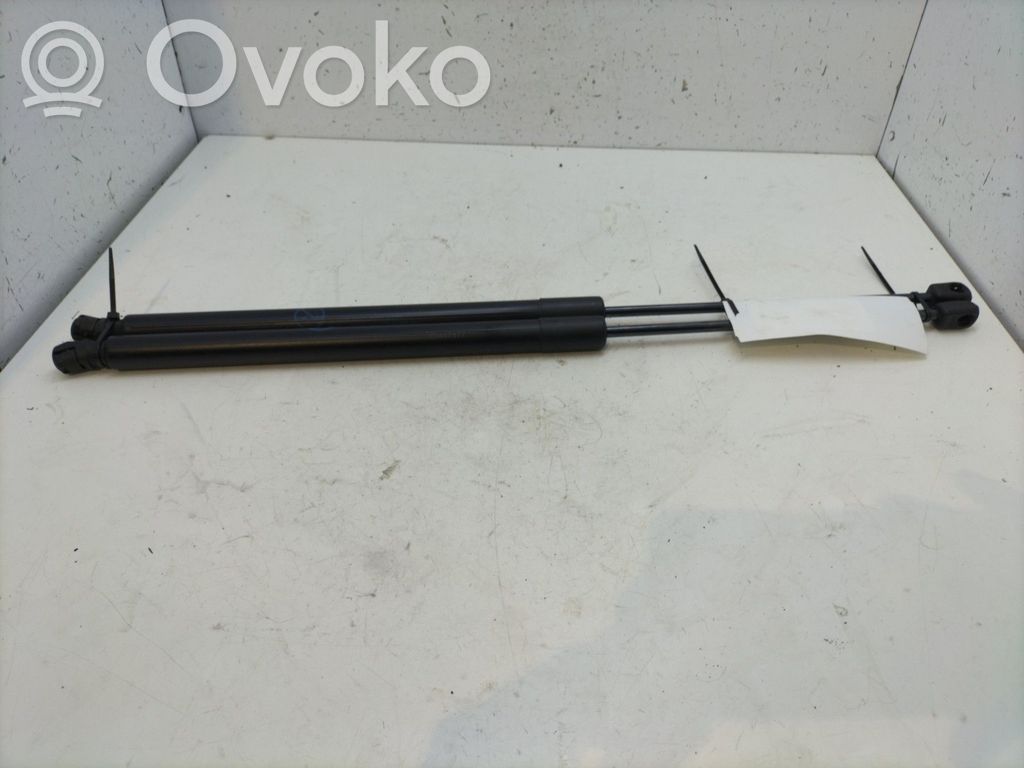 Ford Focus Tailgate/trunk strut/damper 