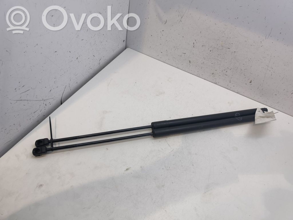 Tailgate/trunk strut/damper   2130816