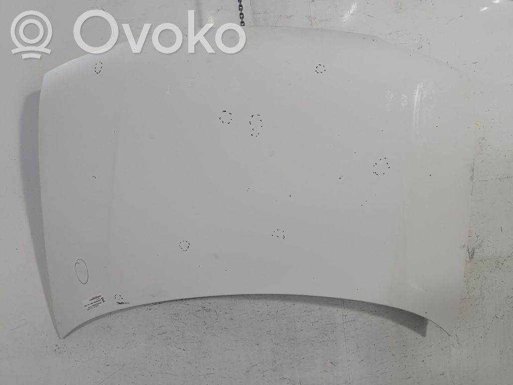 Motorhaube   00007901G0