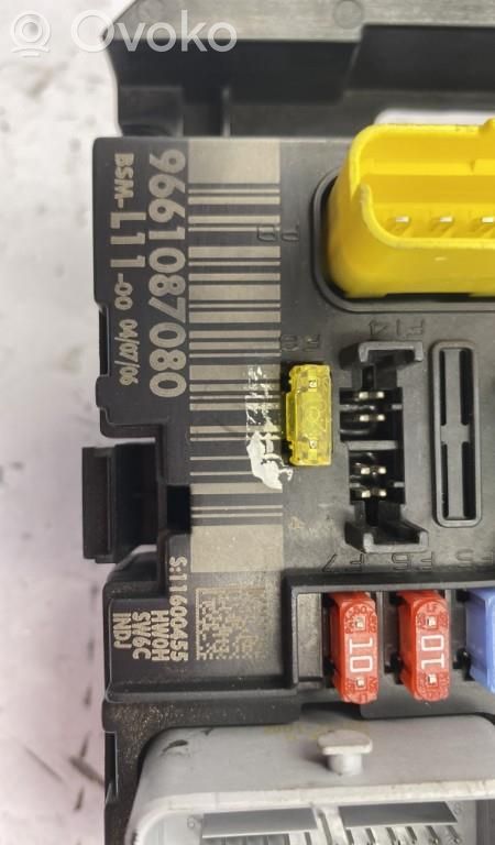 BSM Control unit   6580EF