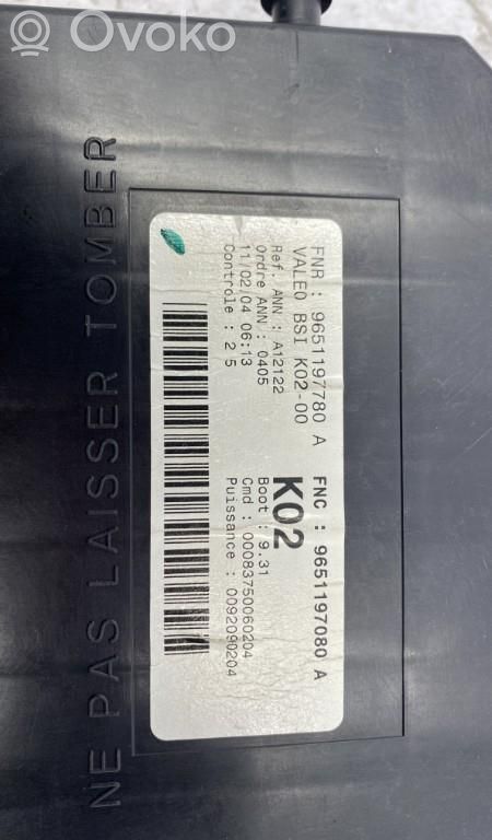 Peugeot 307 BSM Control unit 