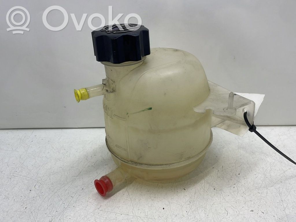 Bușon vas expansiune   7701470460