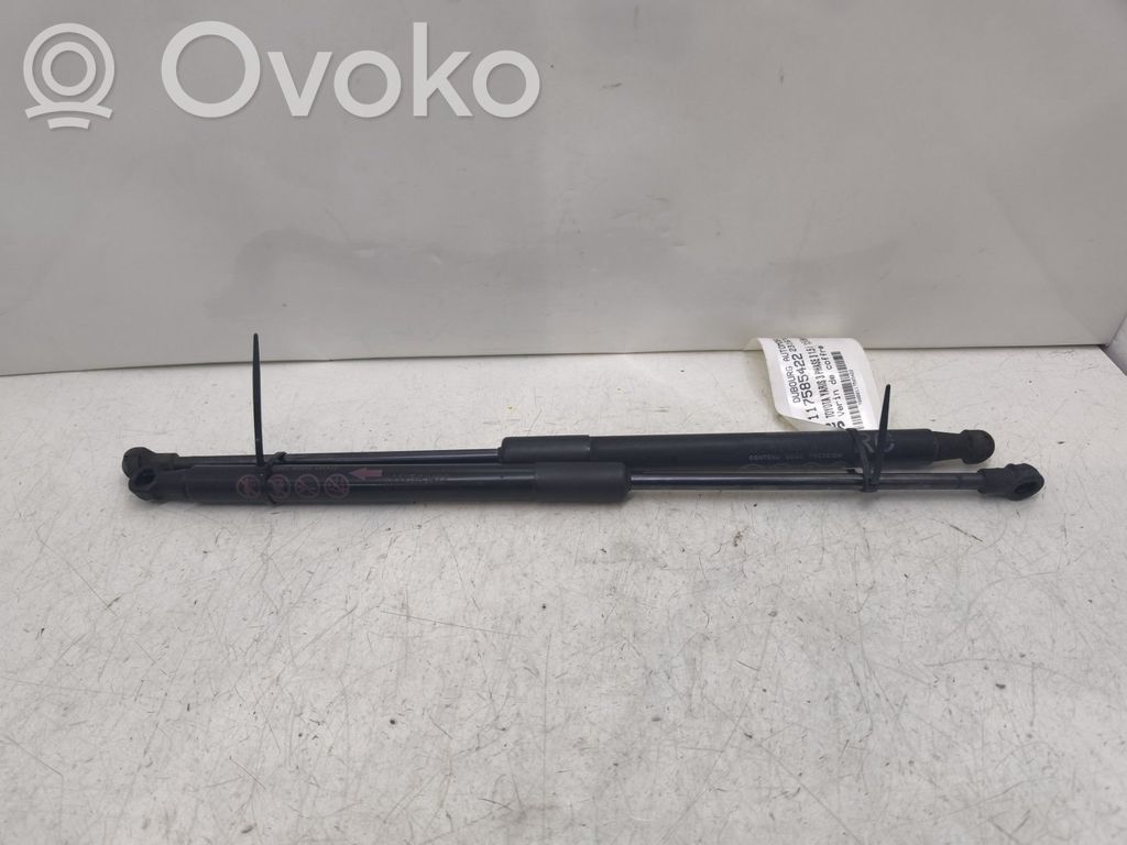 Amortizor hayon   689600D170