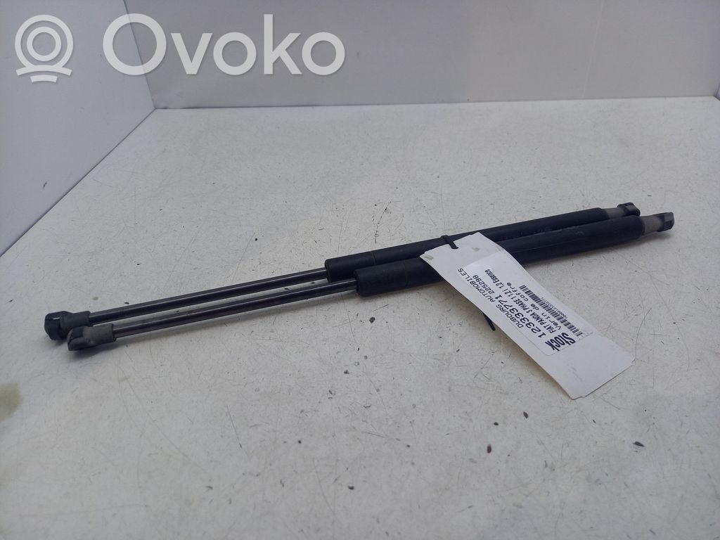 Fiat Panda III Ammortizzatore portellone posteriore/bagagliaio 