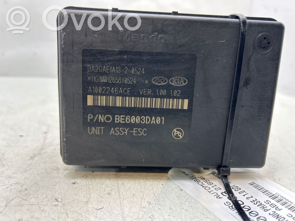 ABS Pump   58910H8450