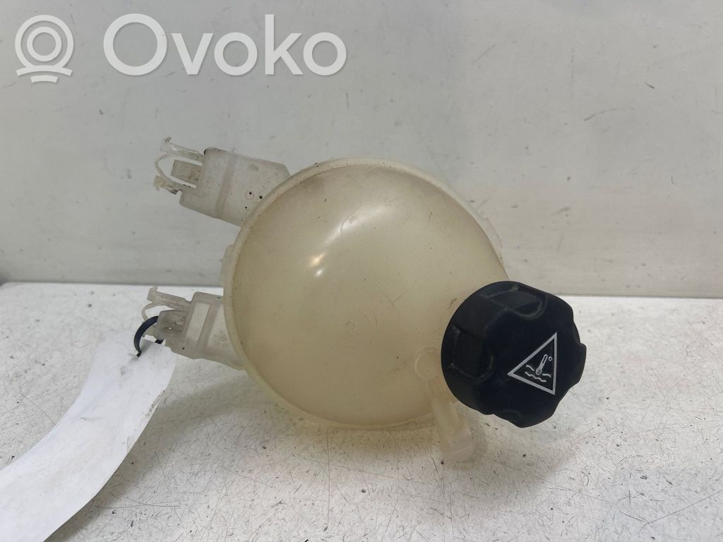 Bușon vas expansiune   9800777280