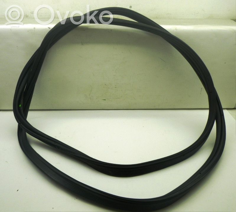 Trunk rubber seal (body)