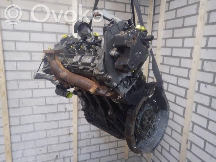 Motor