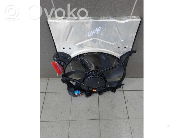 Engine control unit/module fan   03641929