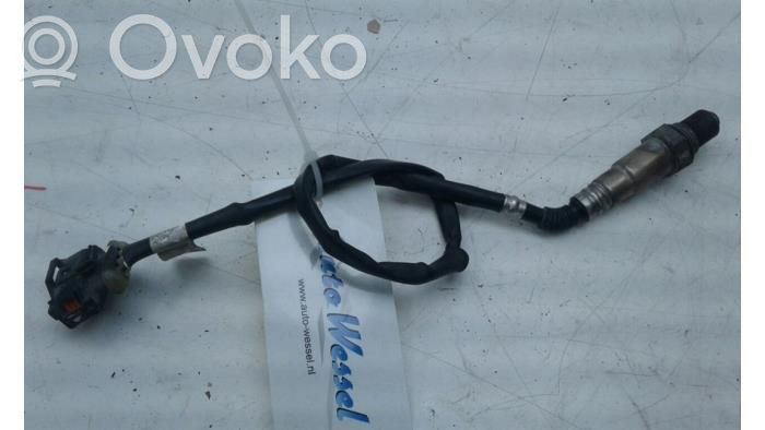 Sonde lambda   55562205