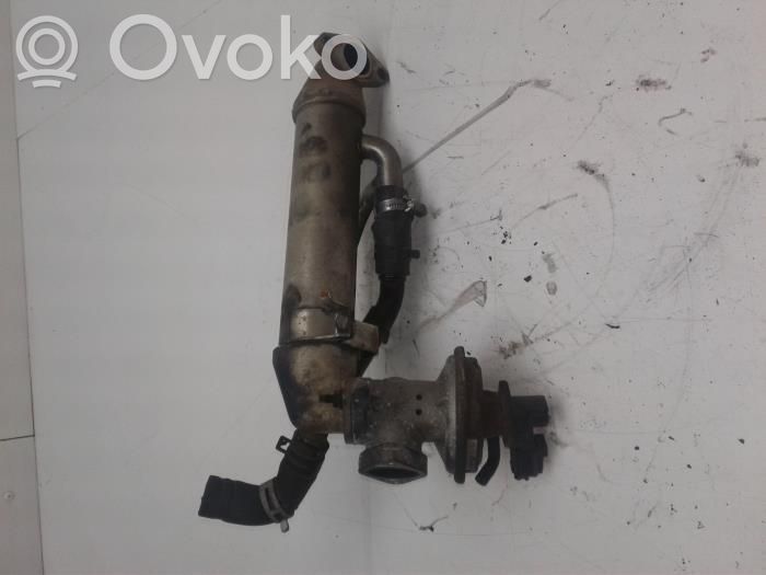 EGR valve cooler