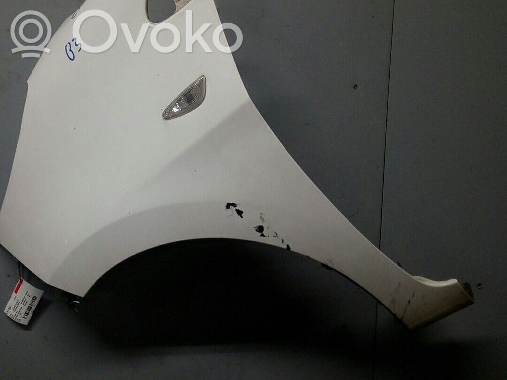 Fender   663111Y310