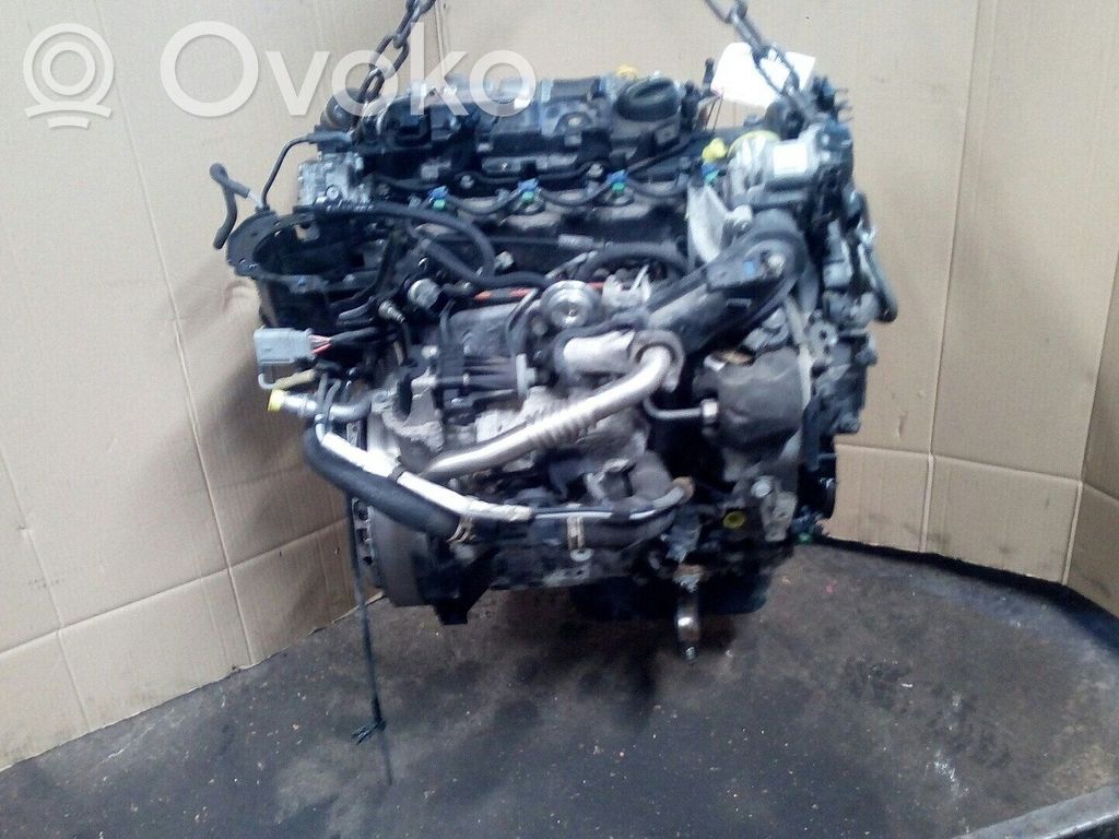 Ford Focus Variklis 