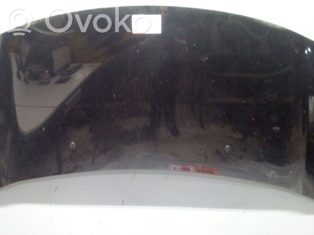 Dzinēja pārsegs (vāks)   7901R1