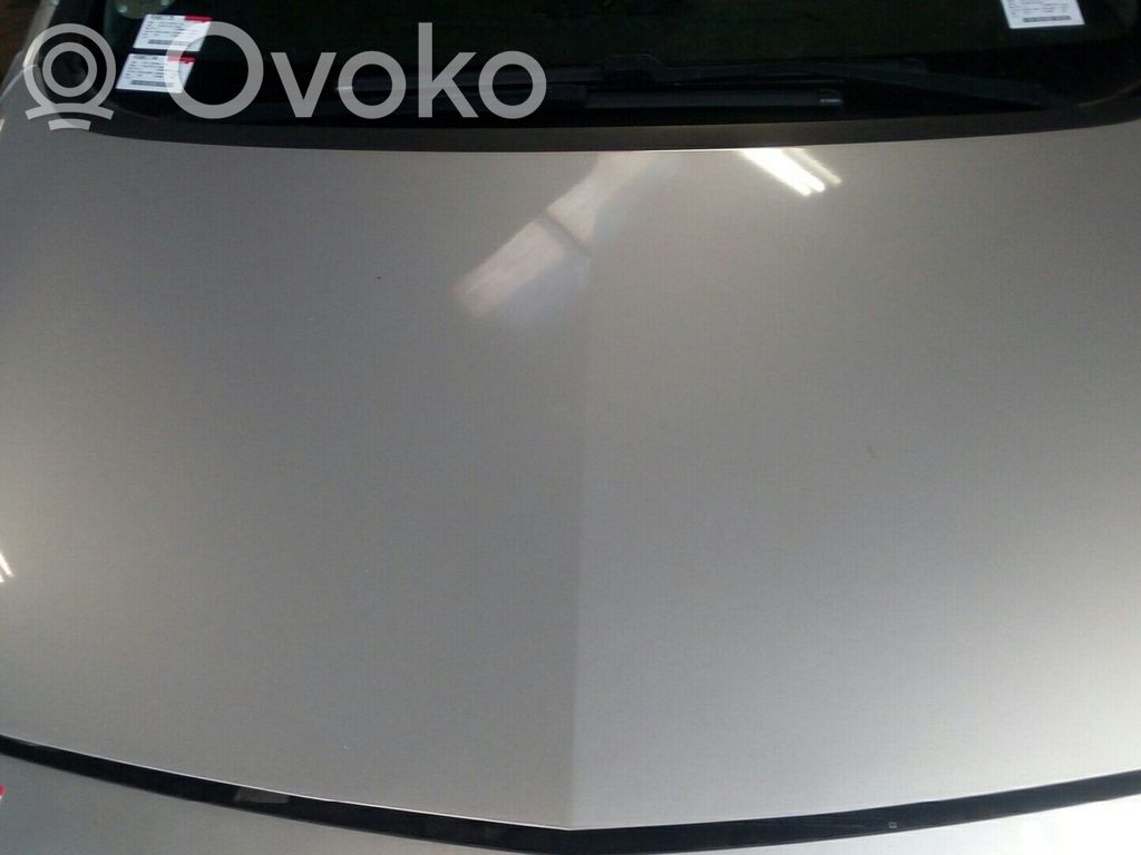 Dzinēja pārsegs (vāks)   39014121