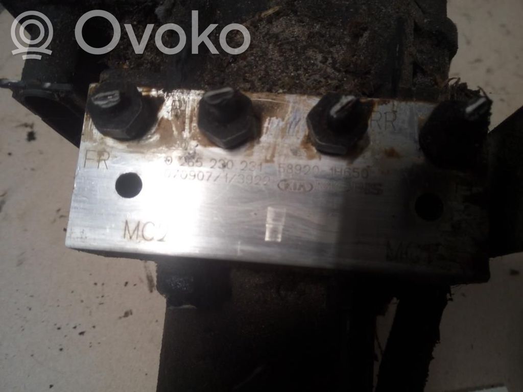 ABS Pump   589201H650