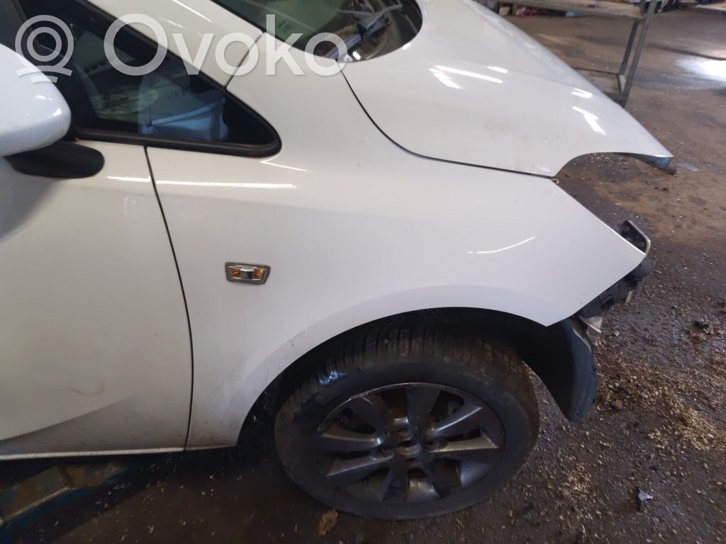 Fender   13434577,13434577