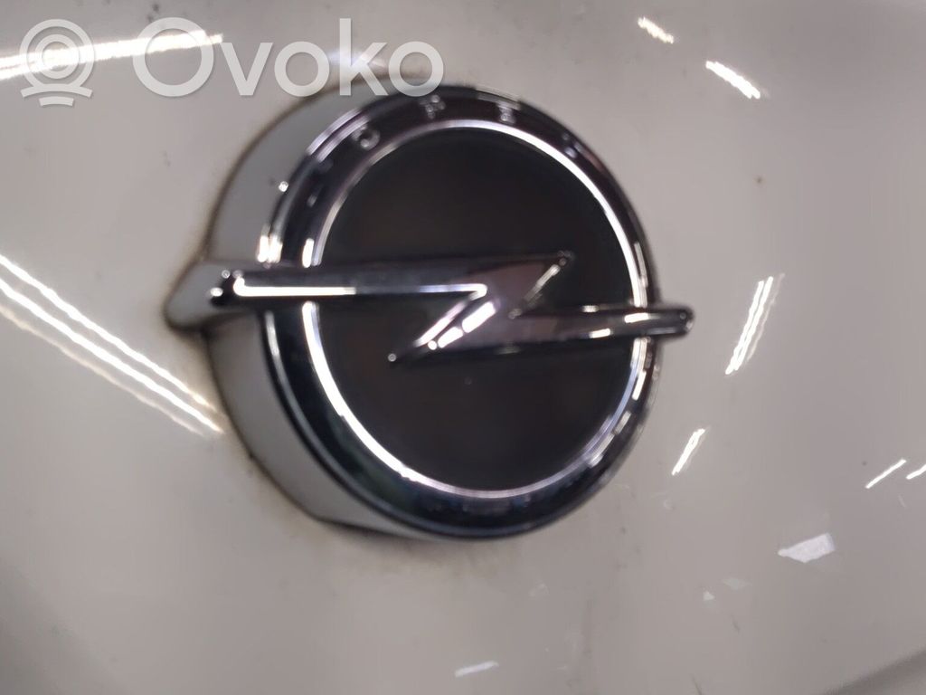 Opel Corsa E Maniglia esterna per portiera anteriore 