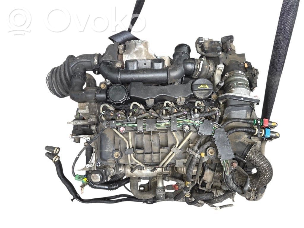 Engine swap   Y64202300,Y6,Y642,Y64202300