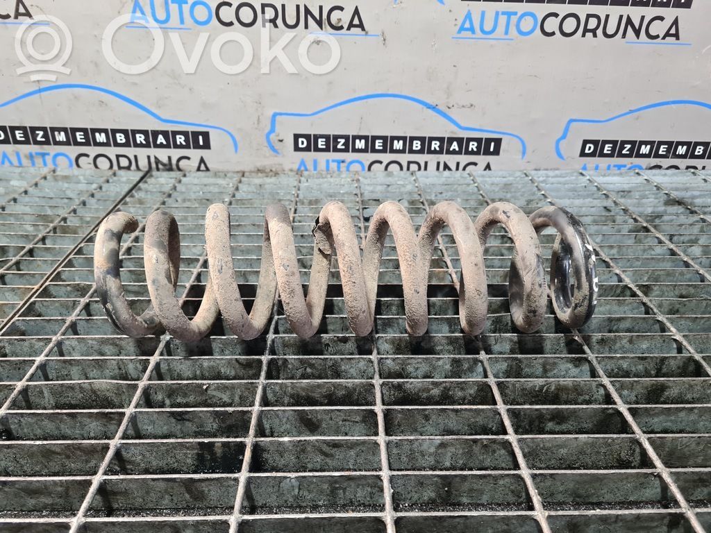 Rear coil spring