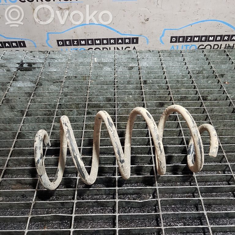 Rear coil spring