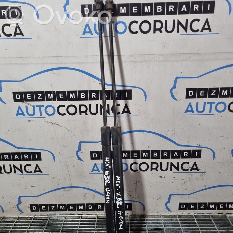 Tailgate/trunk strut/damper