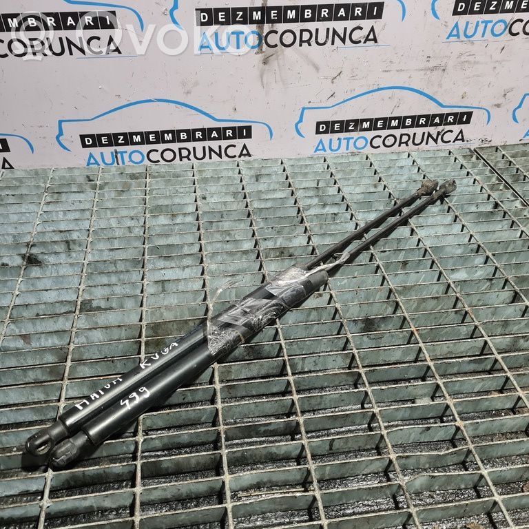 Ford Kuga I Tailgate/trunk strut/damper 