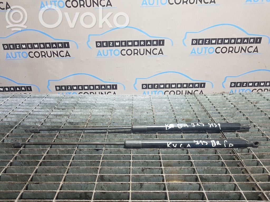 Tailgate/trunk strut/damper   1729322