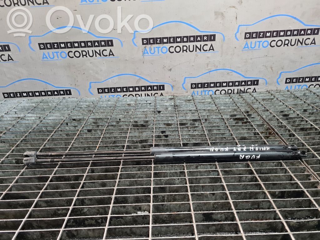 Ford Kuga I Tailgate/trunk strut/damper 