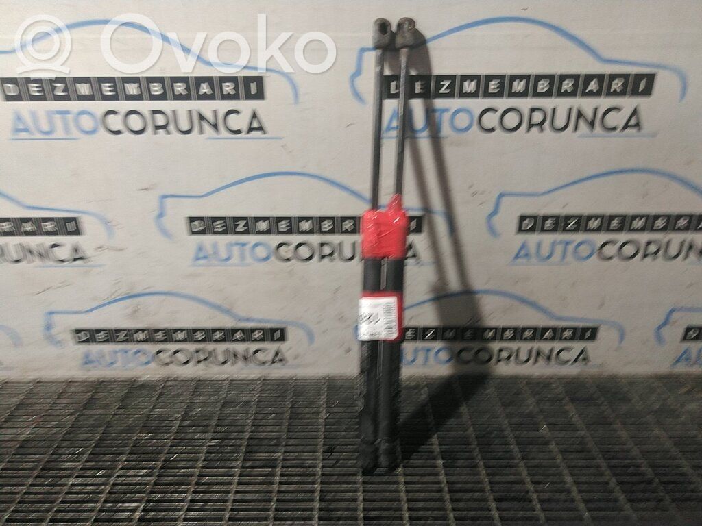 Hyundai Santa Fe Amortizor hayon 
