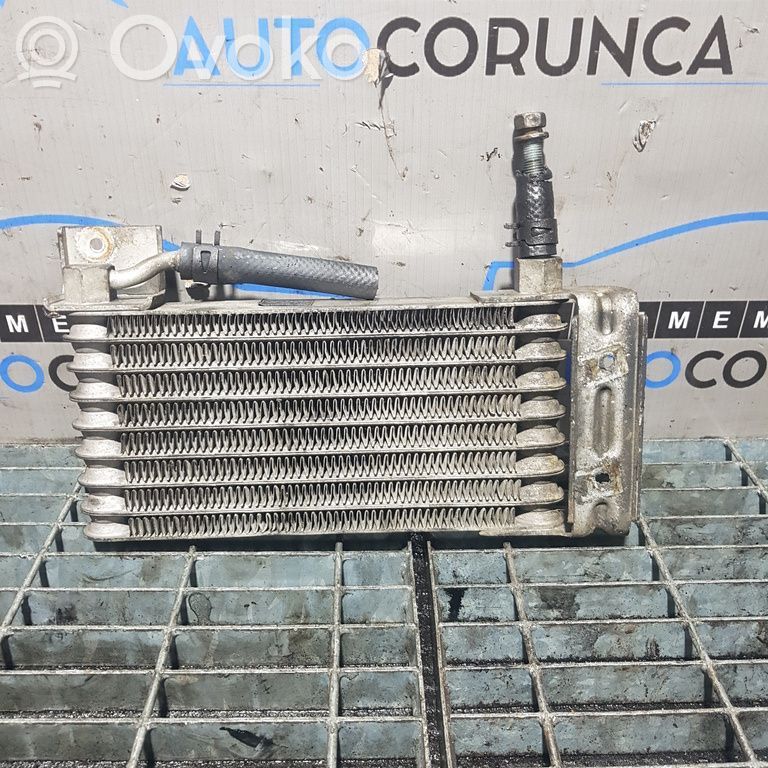 KIA Sorento Intercooler radiator 