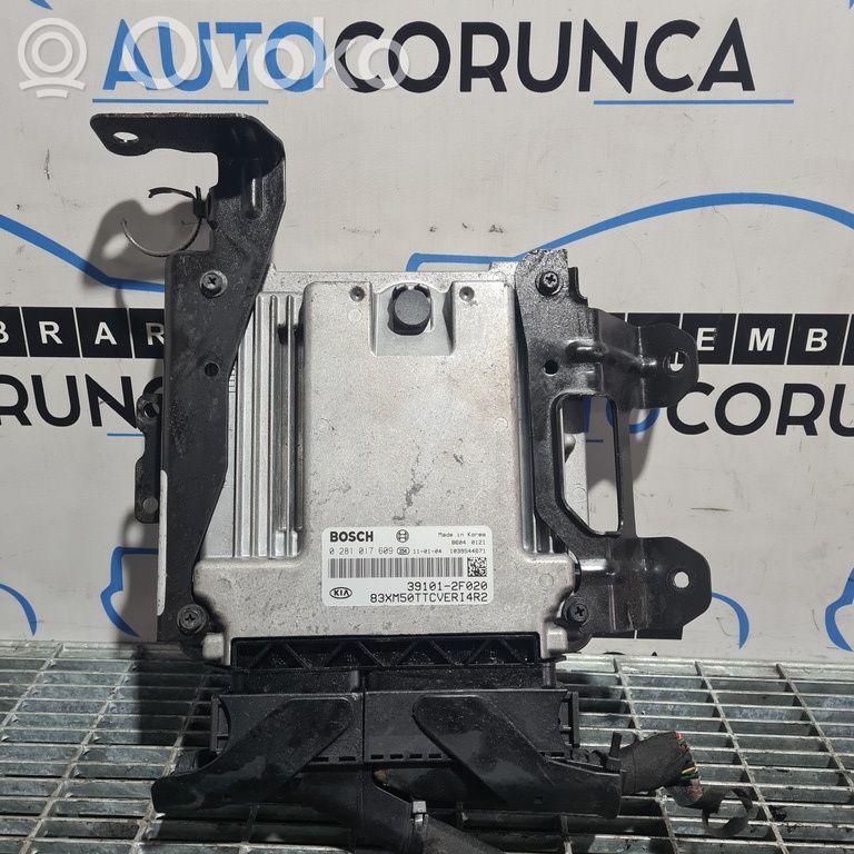 Engine control unit/module ECU   391012F020,0281017609